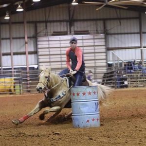 Meet your Posher, Dillon